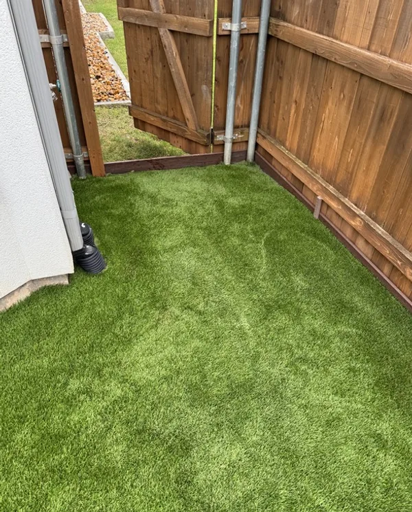 Freshly sanitized and deodorized artificial turf in a fenced backyard pet area after professional cleaning