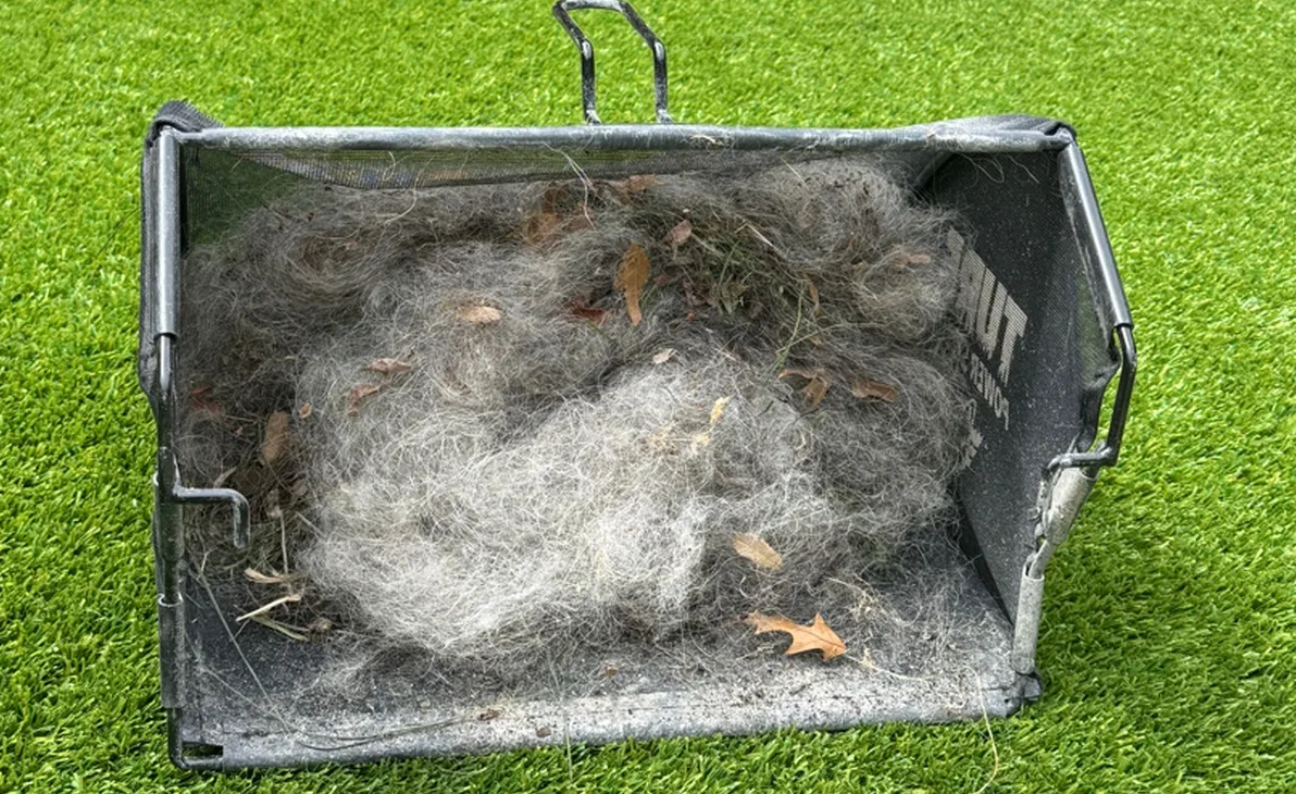Debris, pet hair and organic matter extracted from artificial turf during a professional deep cleaning by Tejas Turf Cleaning