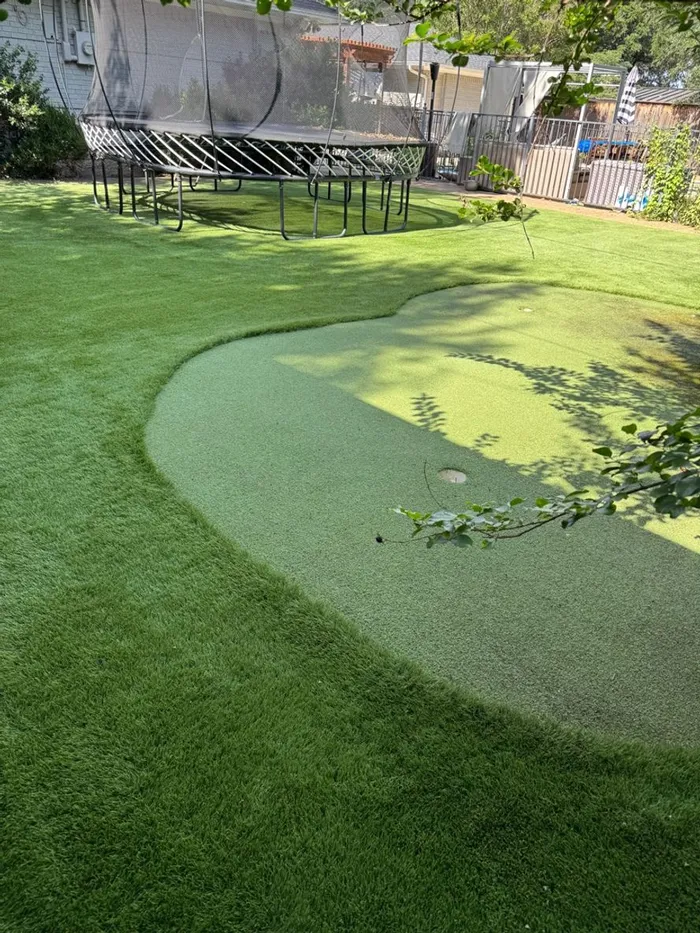 Artificial turf cleaning before and after — after